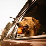 Hračky psích psů West Paw West Paw se Zogoflex Tux L Mandarin Orange