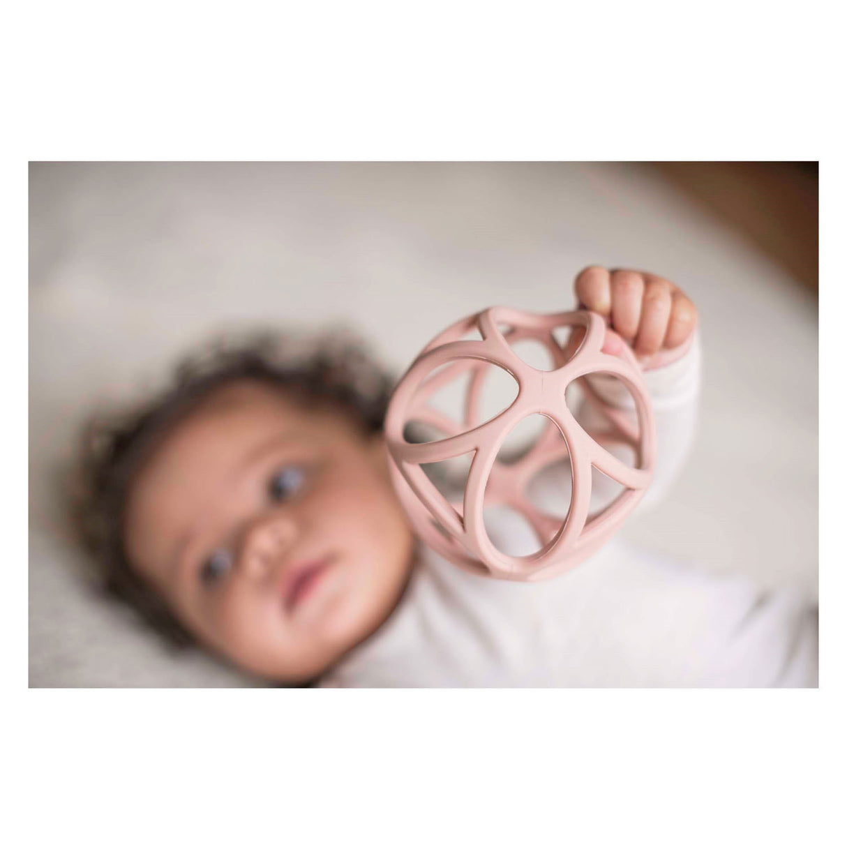 Piccolo rosa grabbal olandese