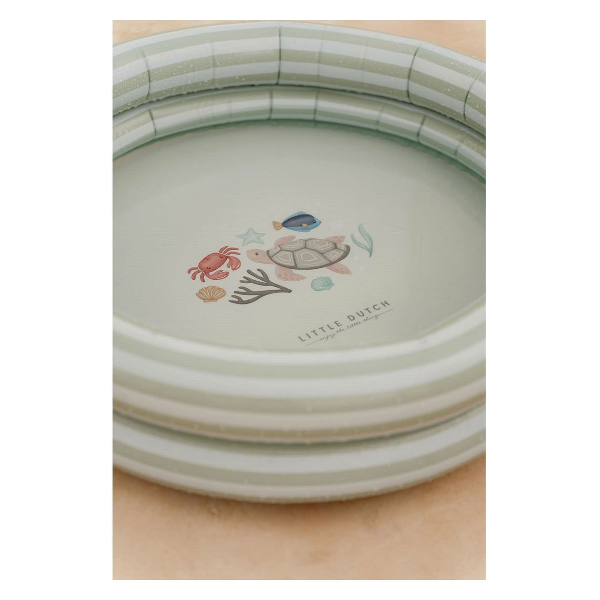 Kleng hollännesch frësch Grénge Schwämm, 80cm