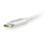 Opremite 133457 USB tipa C moški do mini displayport ženskega adapterja, 15 cm
