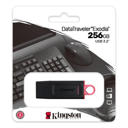 Kingston DataTraveler Exodia 256 Go