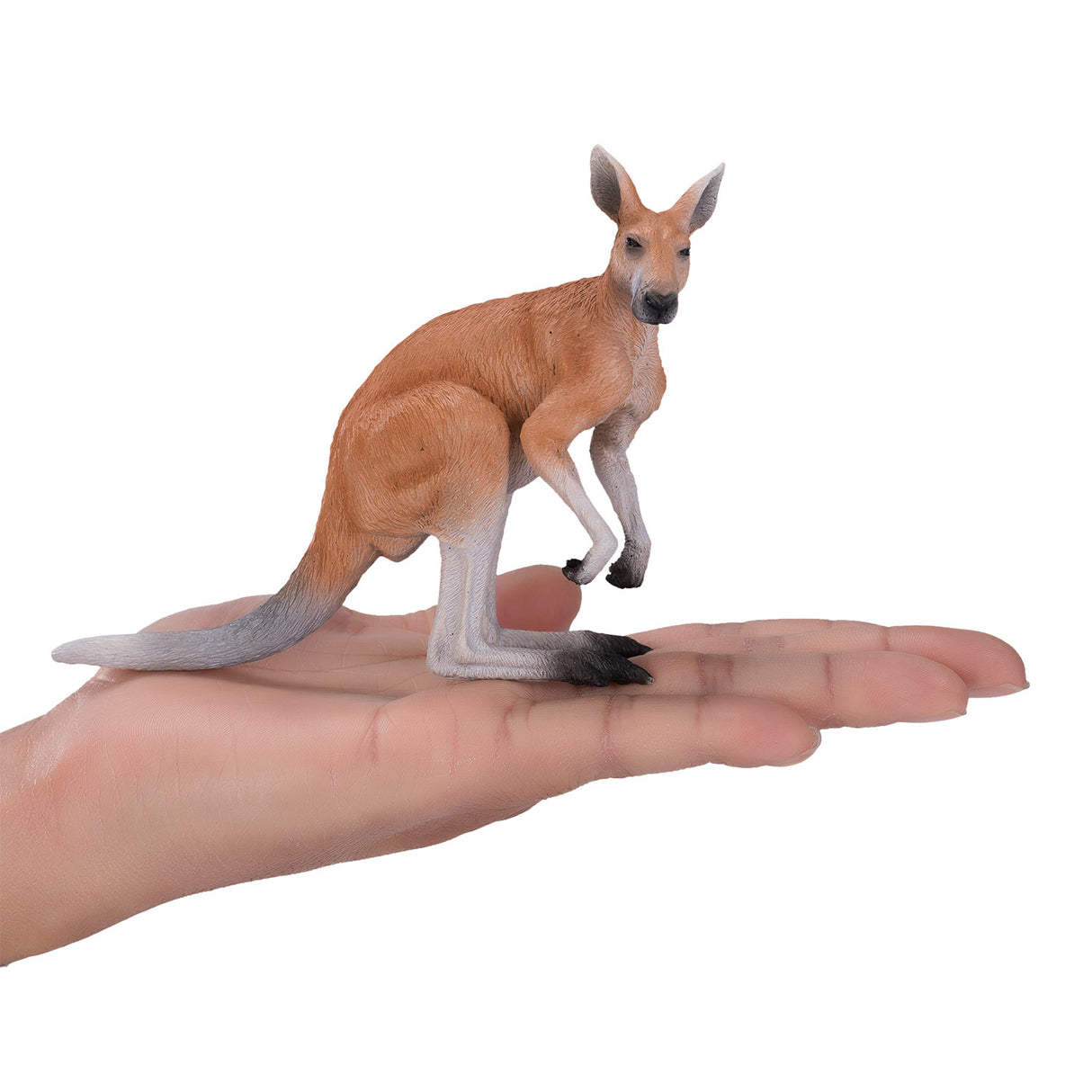 Mojo Wildlife Kangaroo 381010