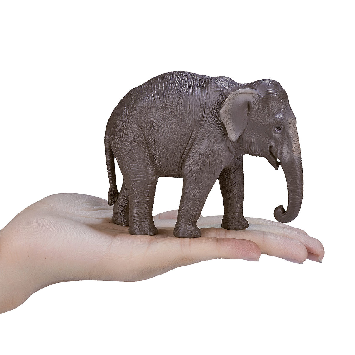 Mojo Wildlife Asian Elephant 387266