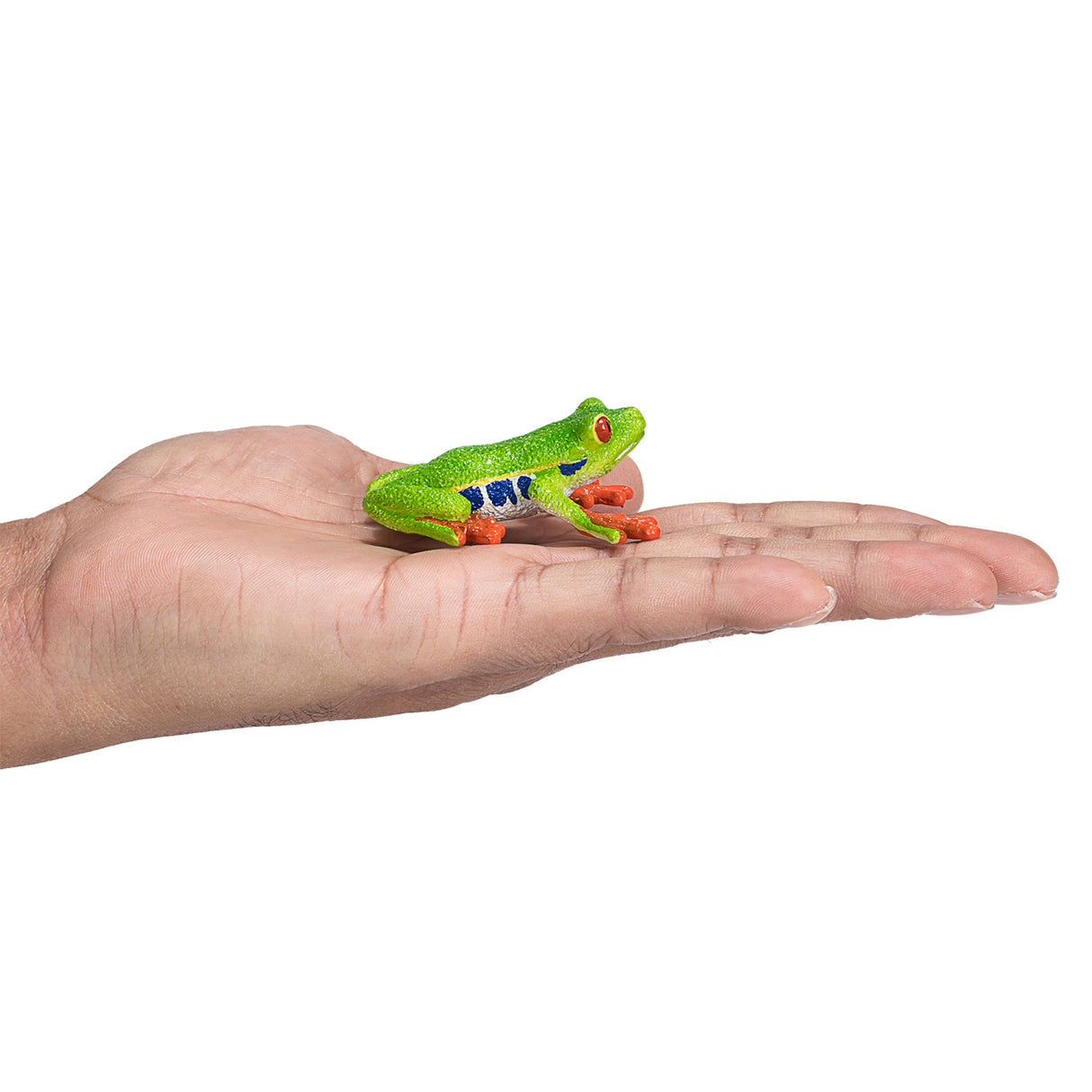 Mojo Wildlife Roodoog Bomomkiker 387299