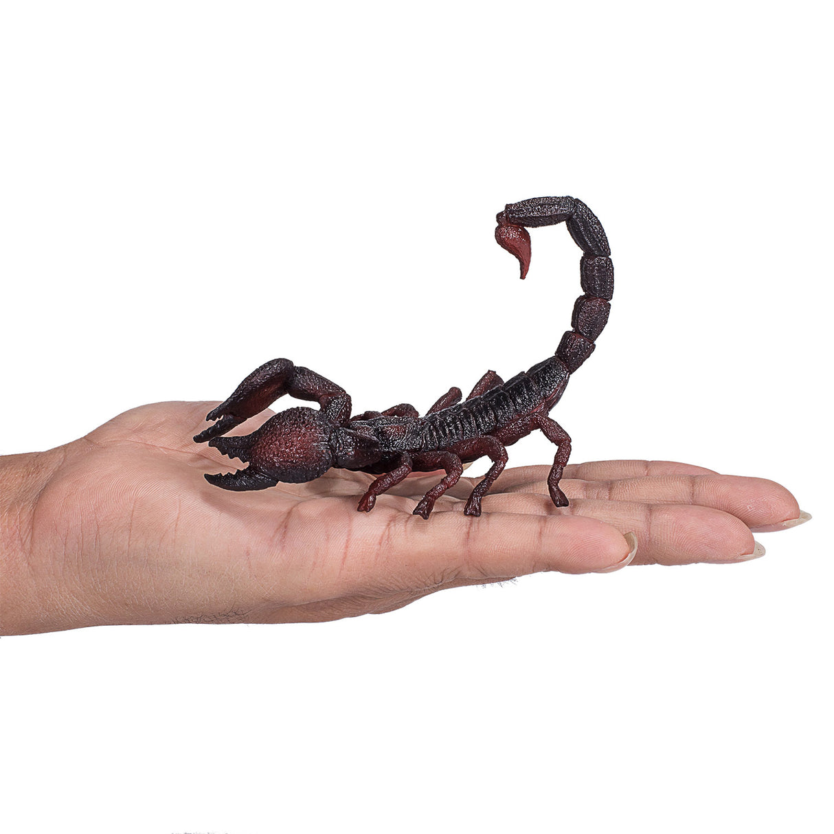 Mojo Wildlife Keizer Scorpio 387133