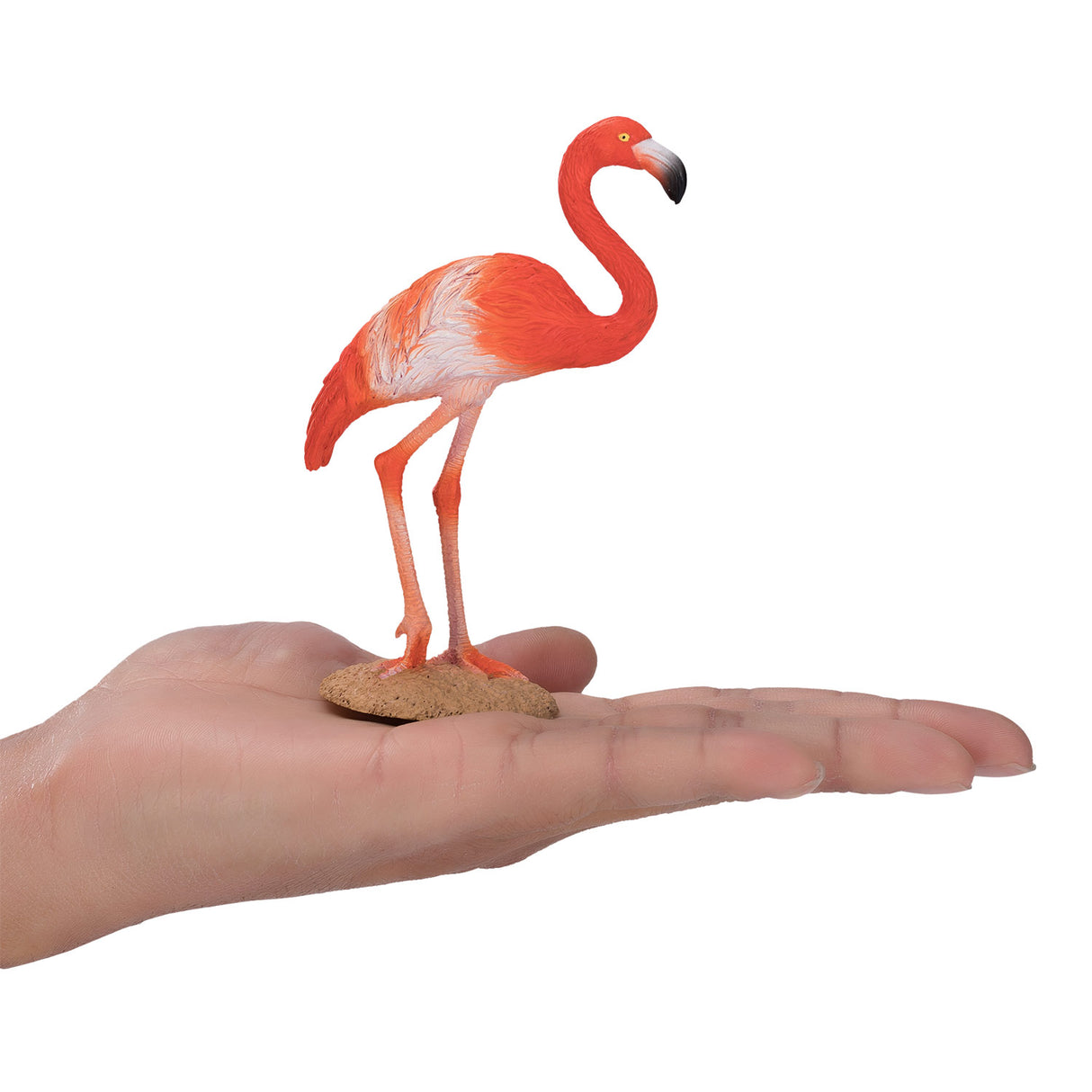 Mojo Wildlife American 387134
