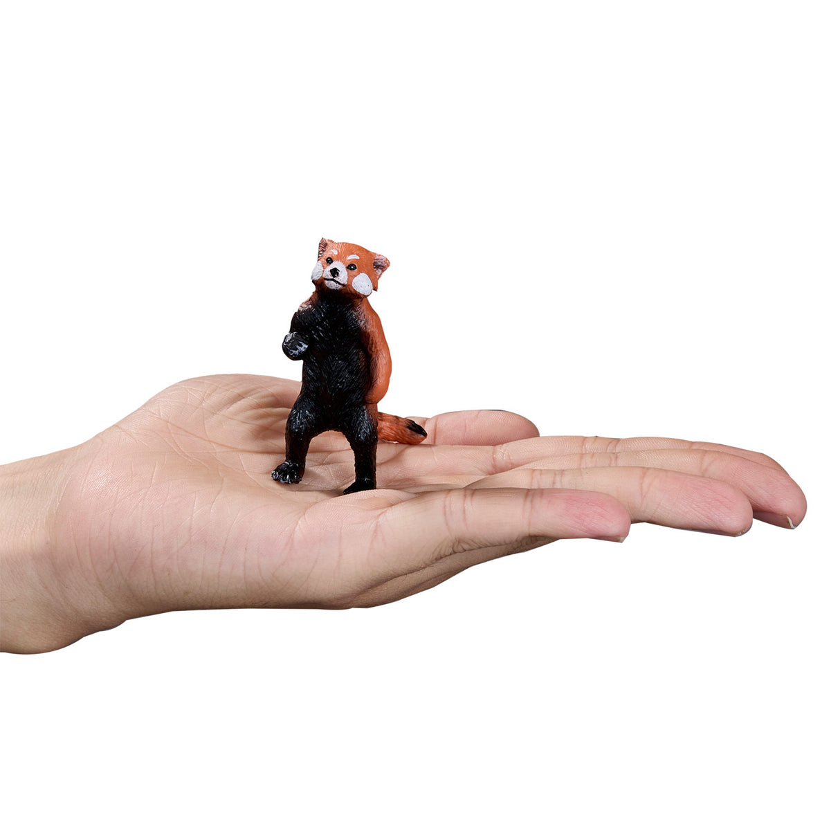 La faune de Mojo est montée Panda 387376