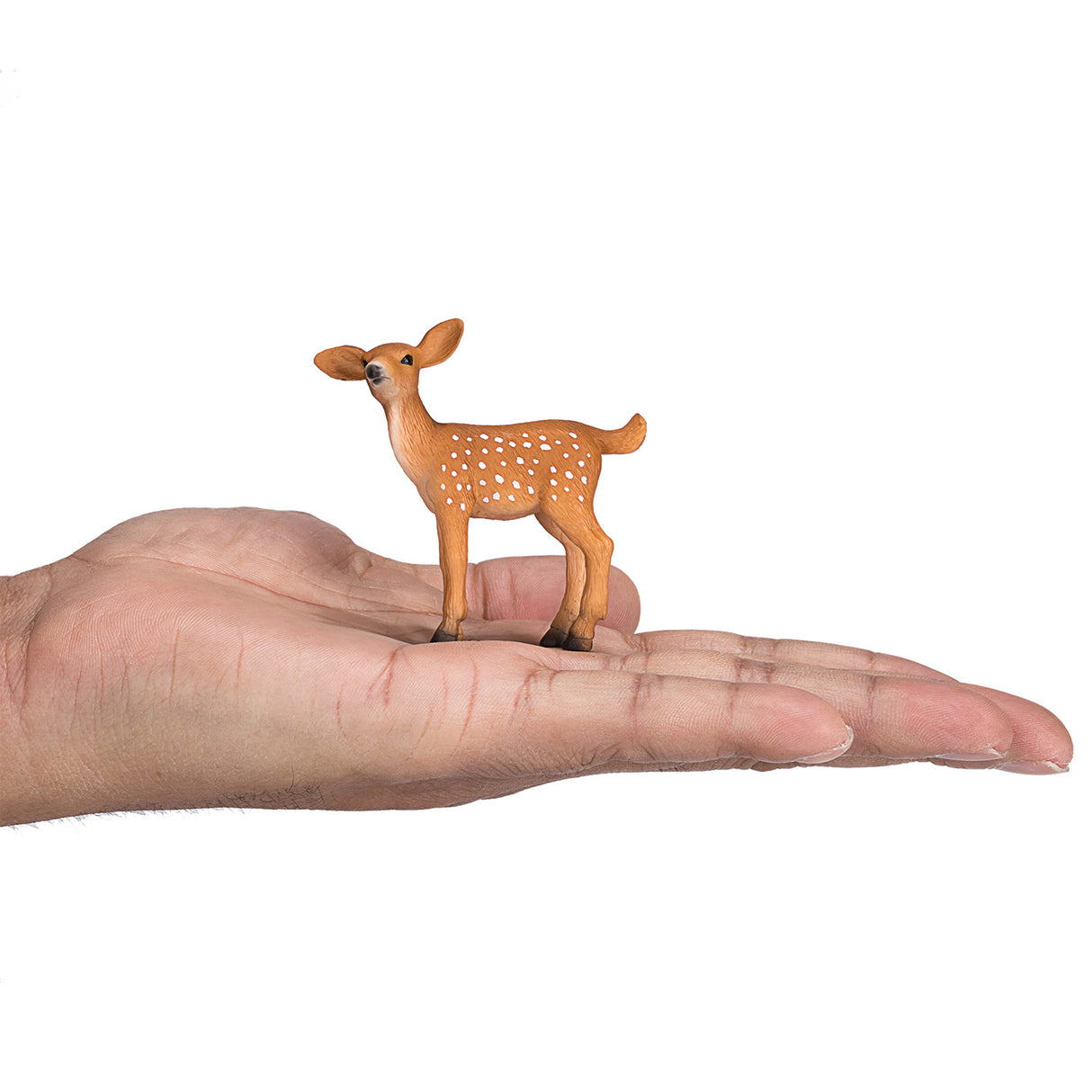 Mojo Wildlife Witstaarthert Kalf 387036