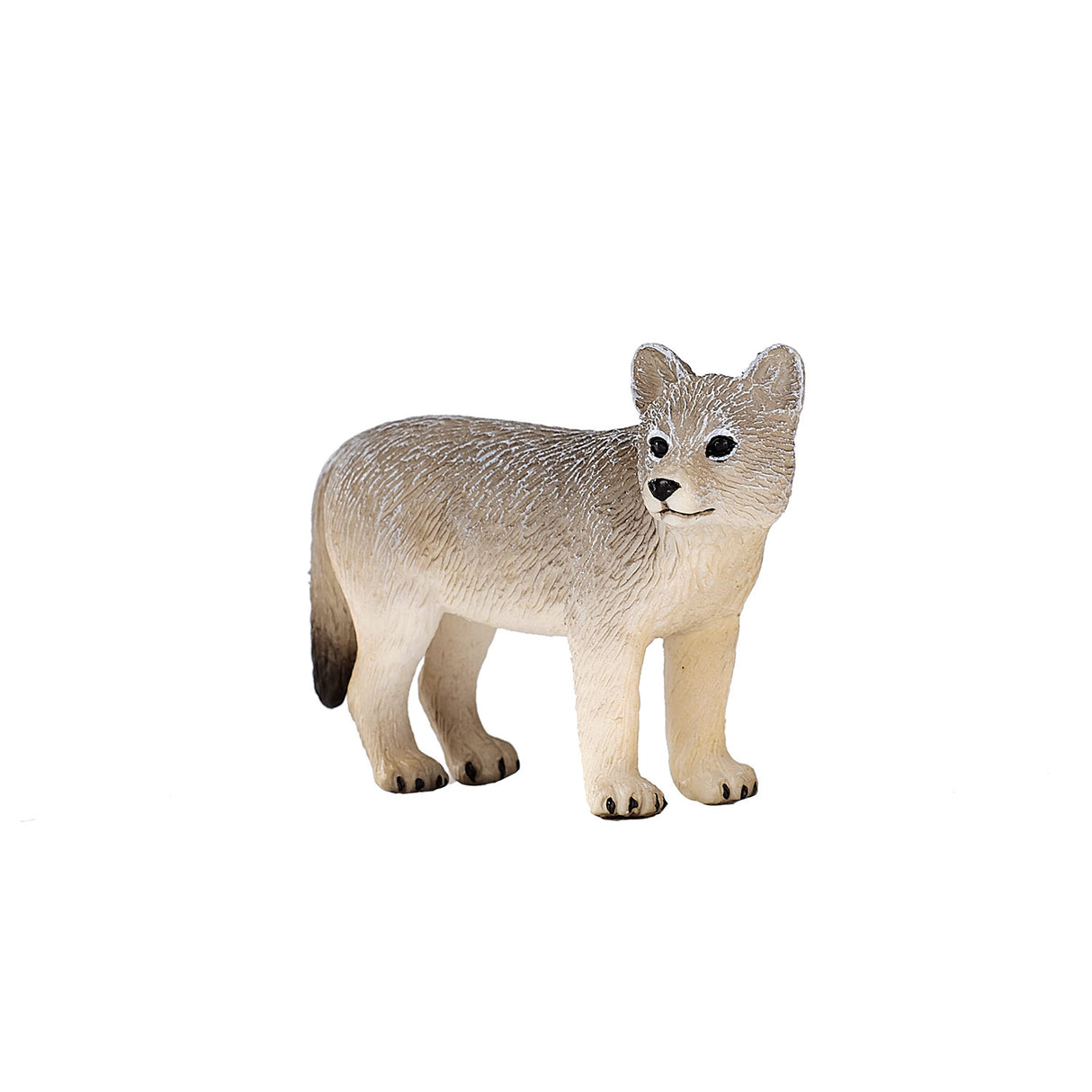 Mojo divjad Wolvenwelp 387244