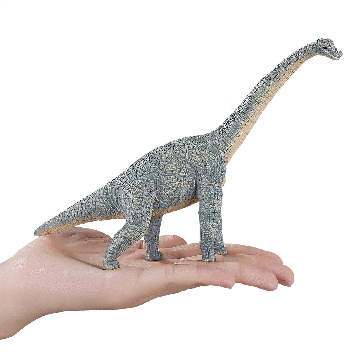Mojo Prehistory Brachiosaurus 387044