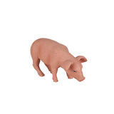 Mojo Ackerland essen 387056
