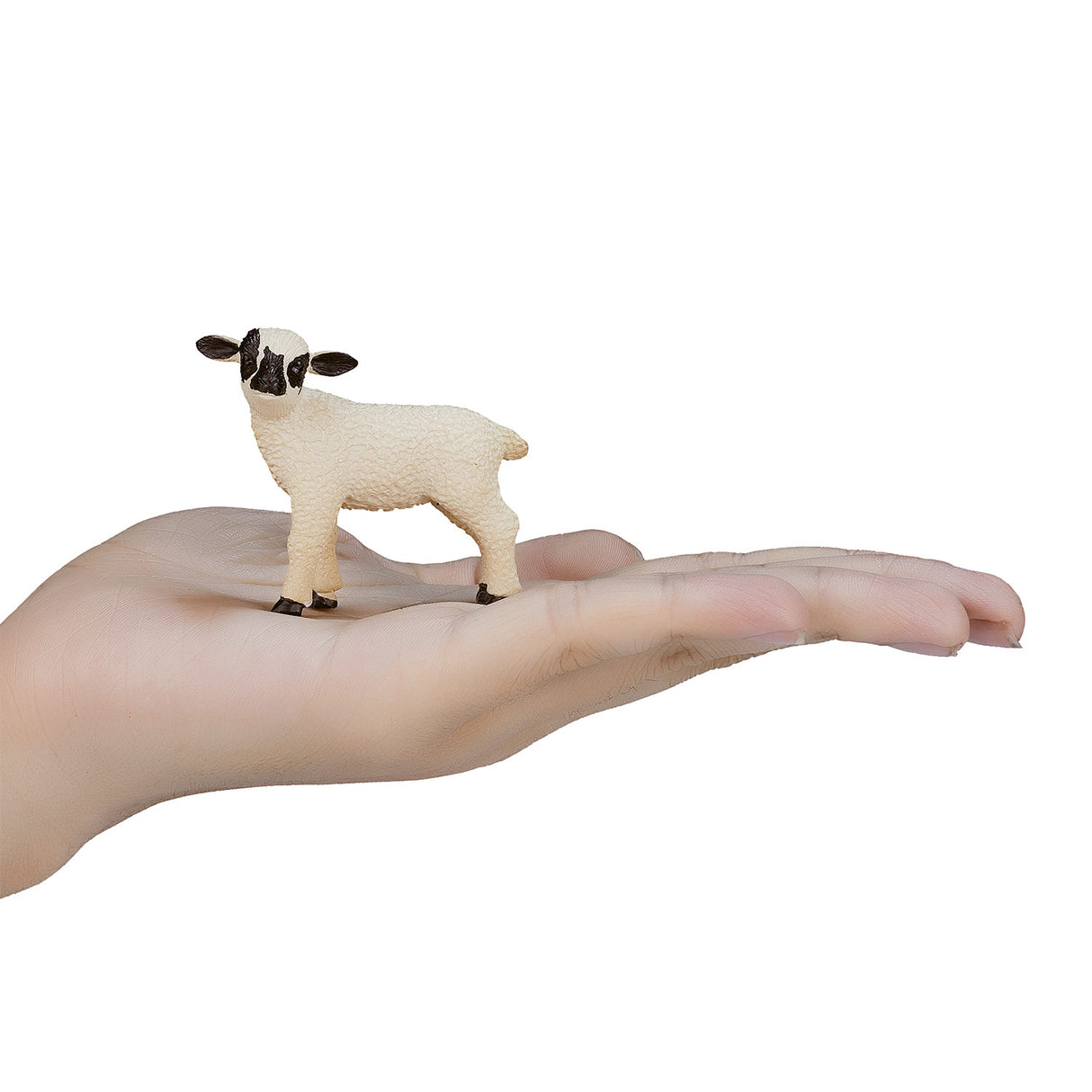 Mojo Ackerland Black Sheep Lamm 387059