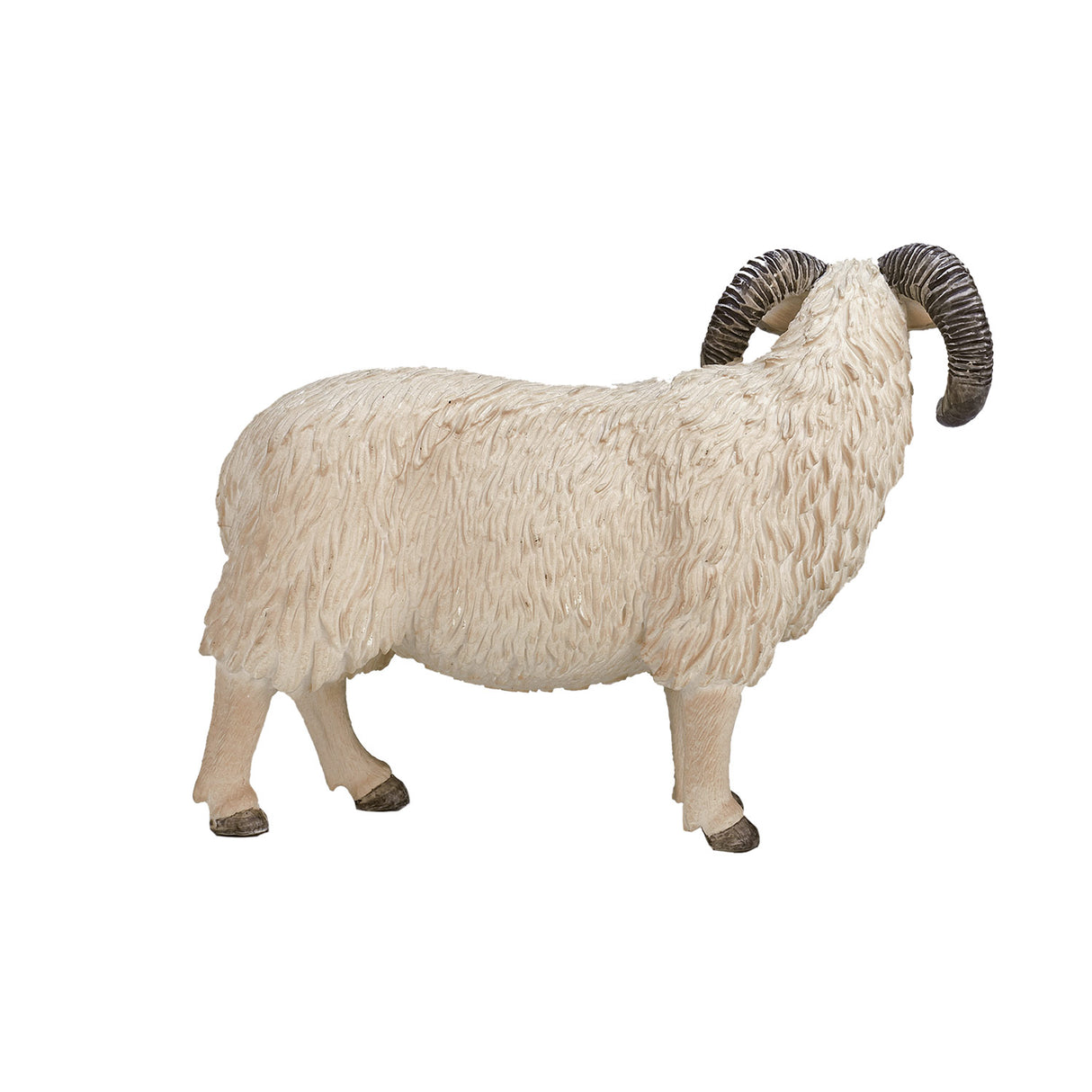 Mojo jordbruksmark Schaap Ram 387097