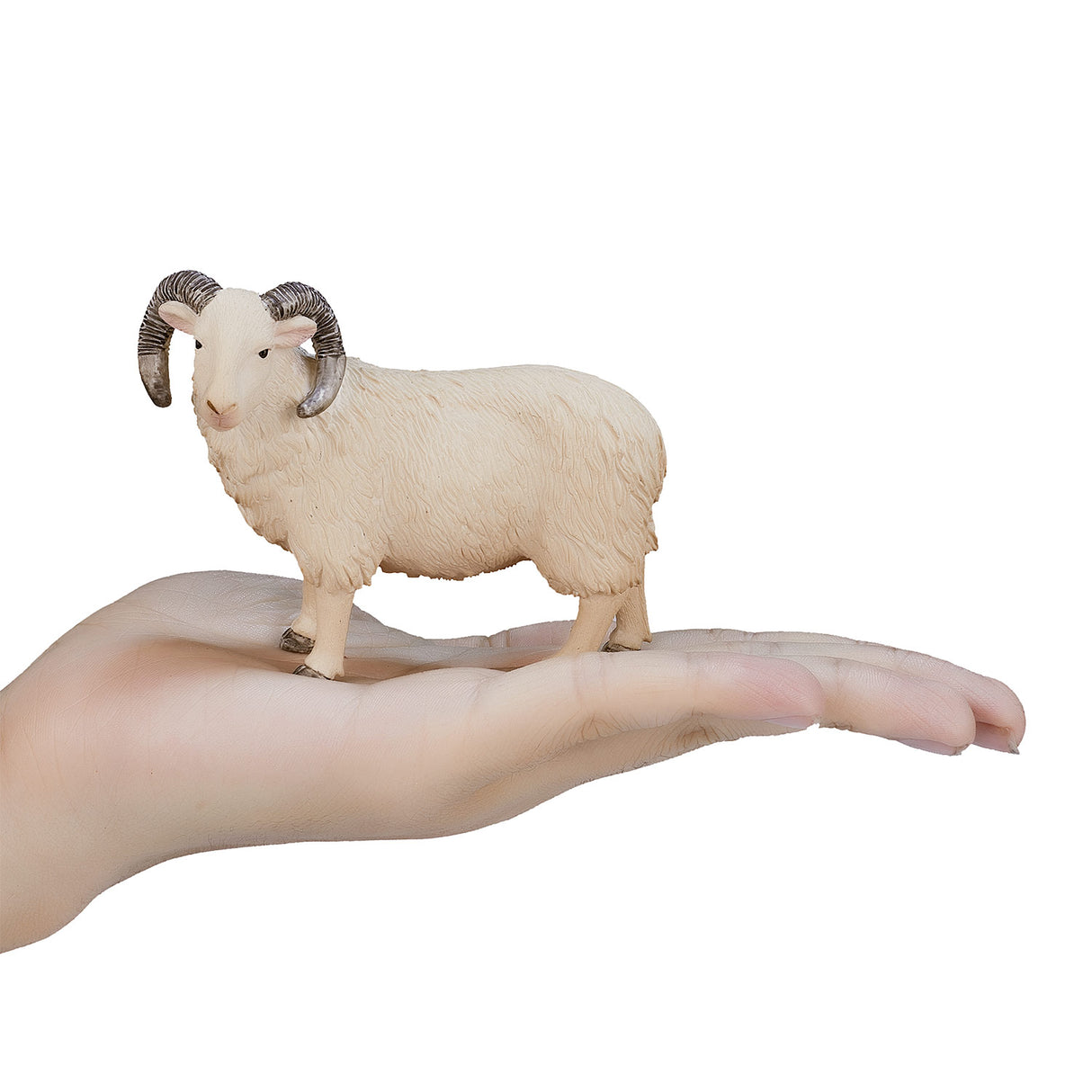 Mojo jordbruksmark Schaap Ram 387097