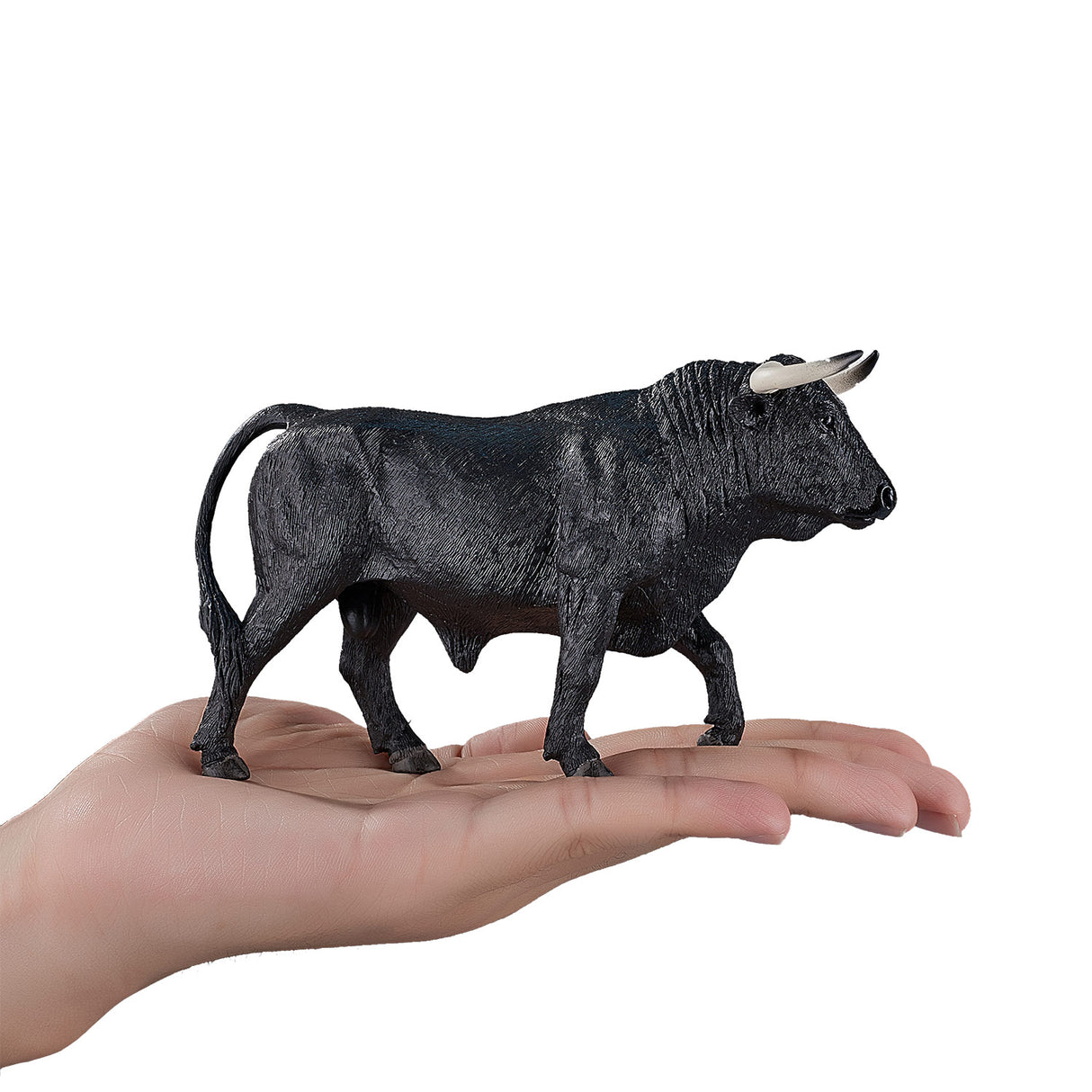 Mojo Ackerland Spanisch Bull 387224