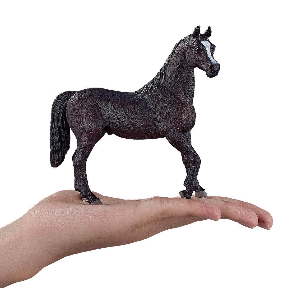 Mojo Horse World Arabian Hengst schwarz 387069