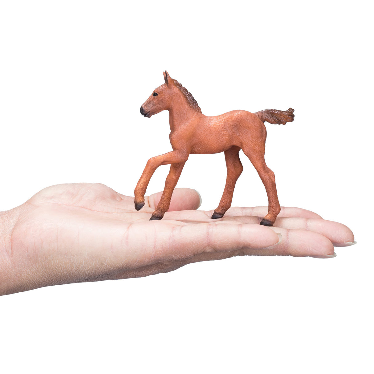Mojo Horse World Arabská hříbě Brown381019