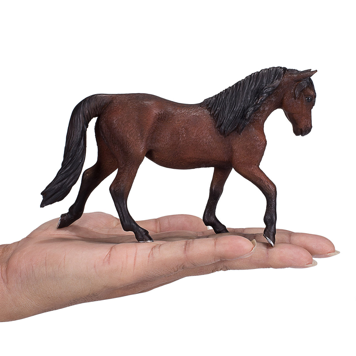 Mojo Horse World Morgan Hengst Brown 381021