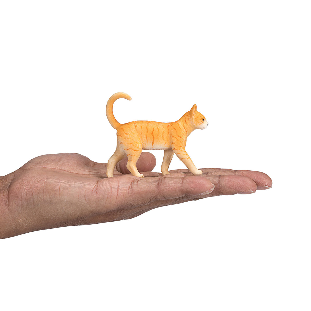 Mojo Ackerland Kat gestreift 387283
