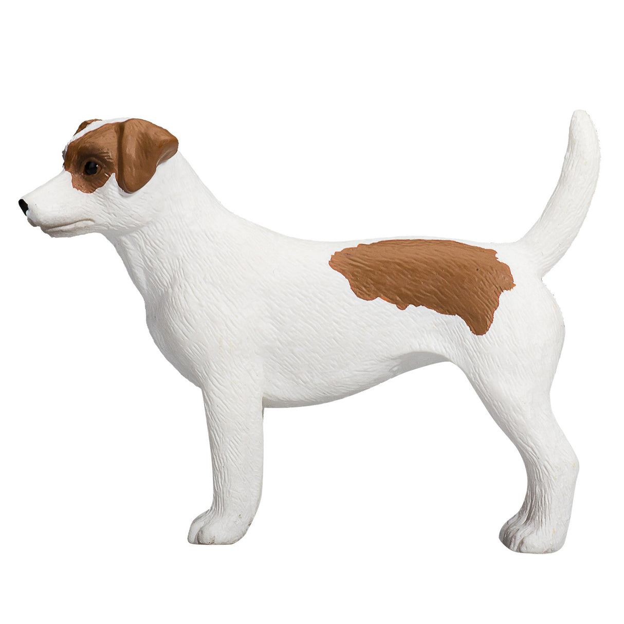 Mojo jordbruksmark Jack Russell Terrier 387286