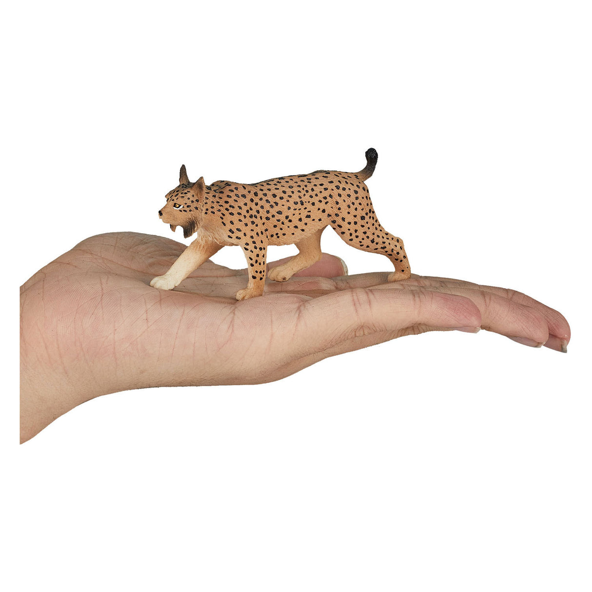 Mojo Wildlife Iberian 387064