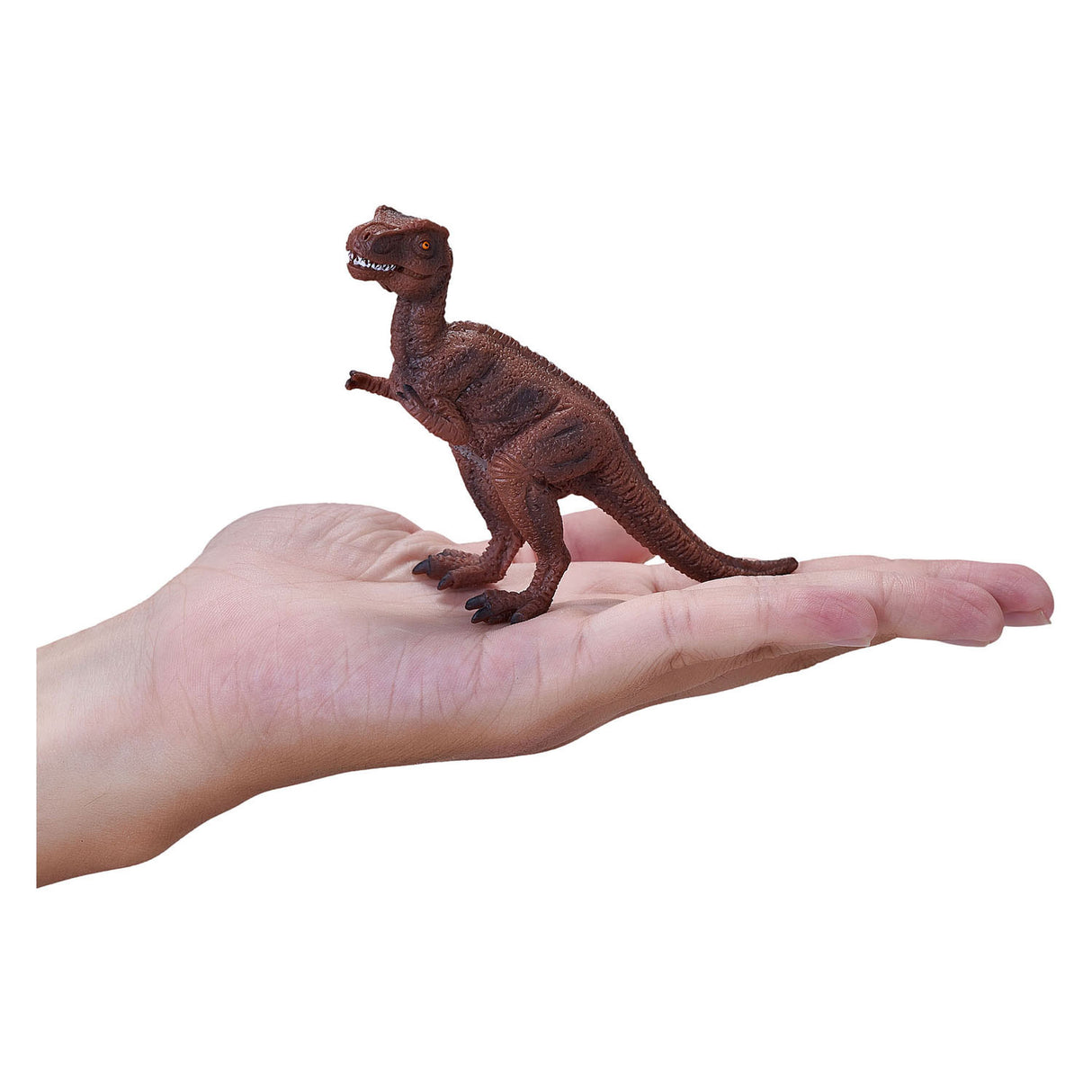 Mojo prehistory Young Tyrannomaurus Rex - 387192