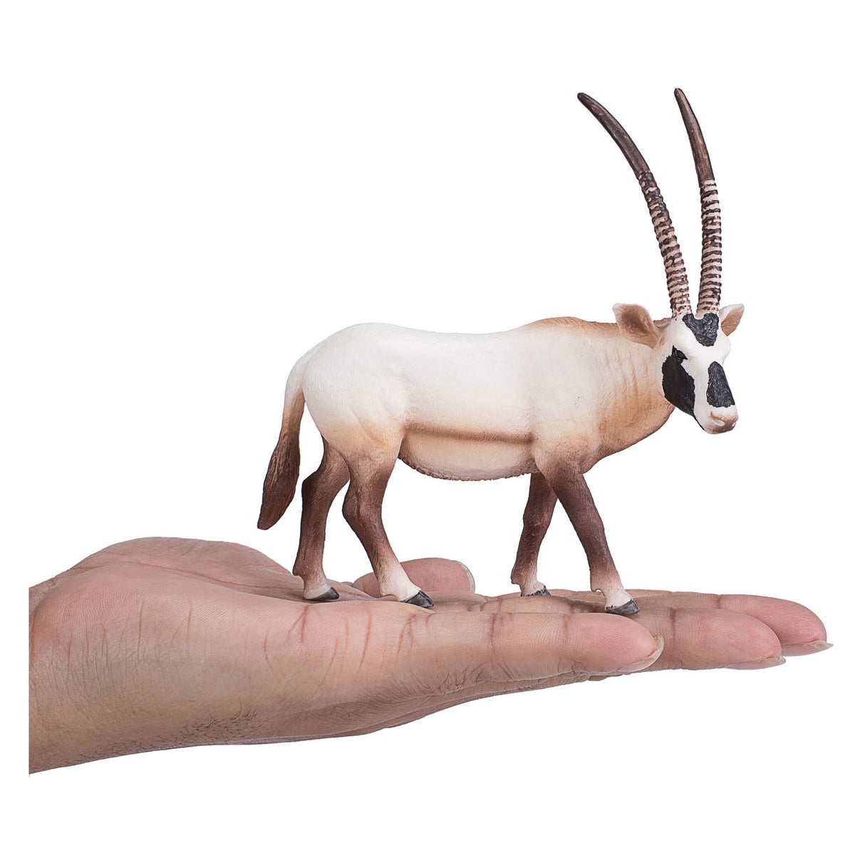 Mojo Wildlife Oryx 387242
