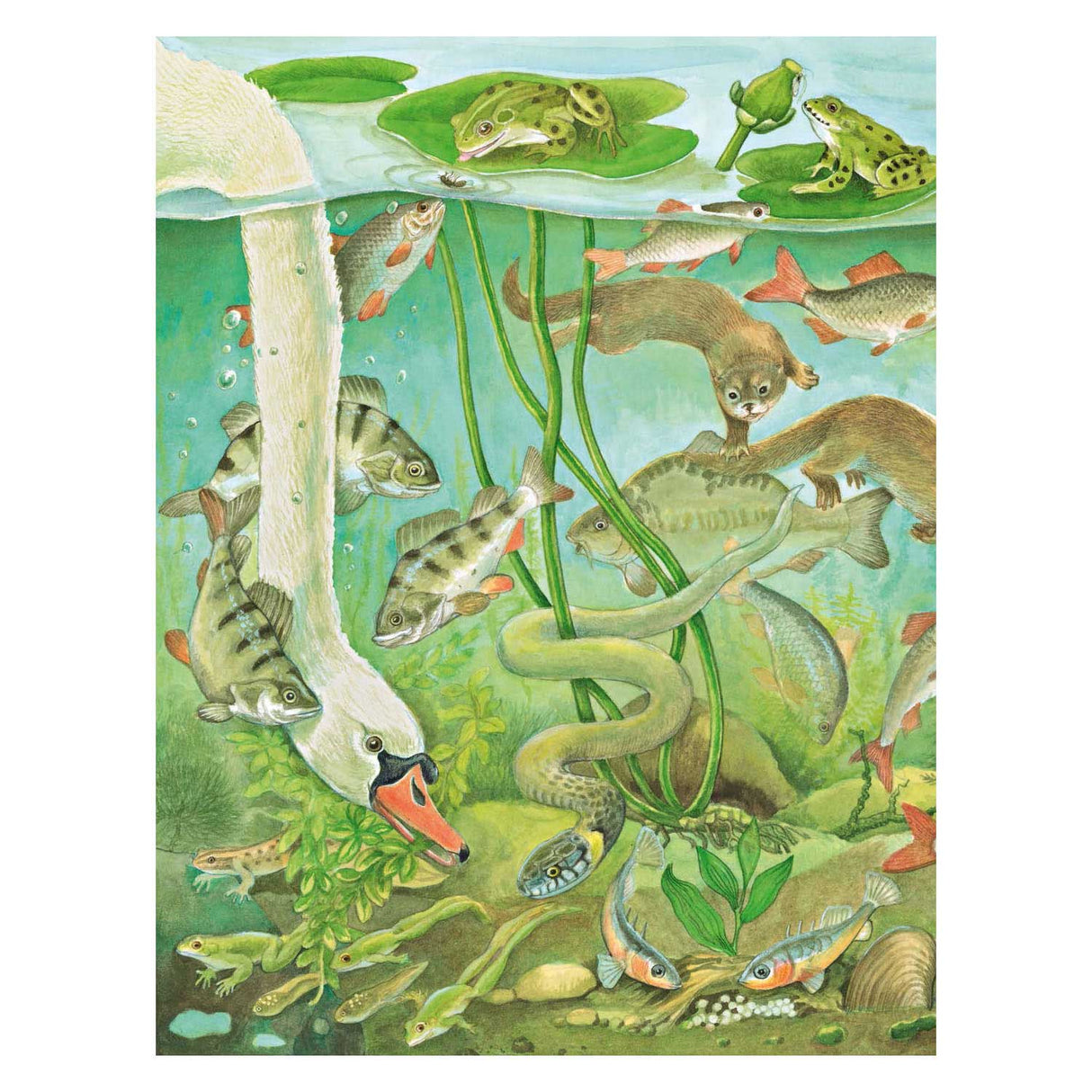Deltas -Ansicht und Suchbuch - am Wasser