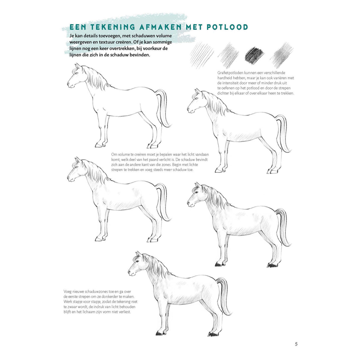Deltas Learn to draw horses step by step