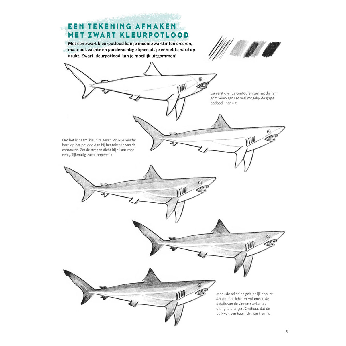 Deltas Learn to draw animals step by step