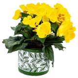 Pot Olea Cylinder Green 11 cm