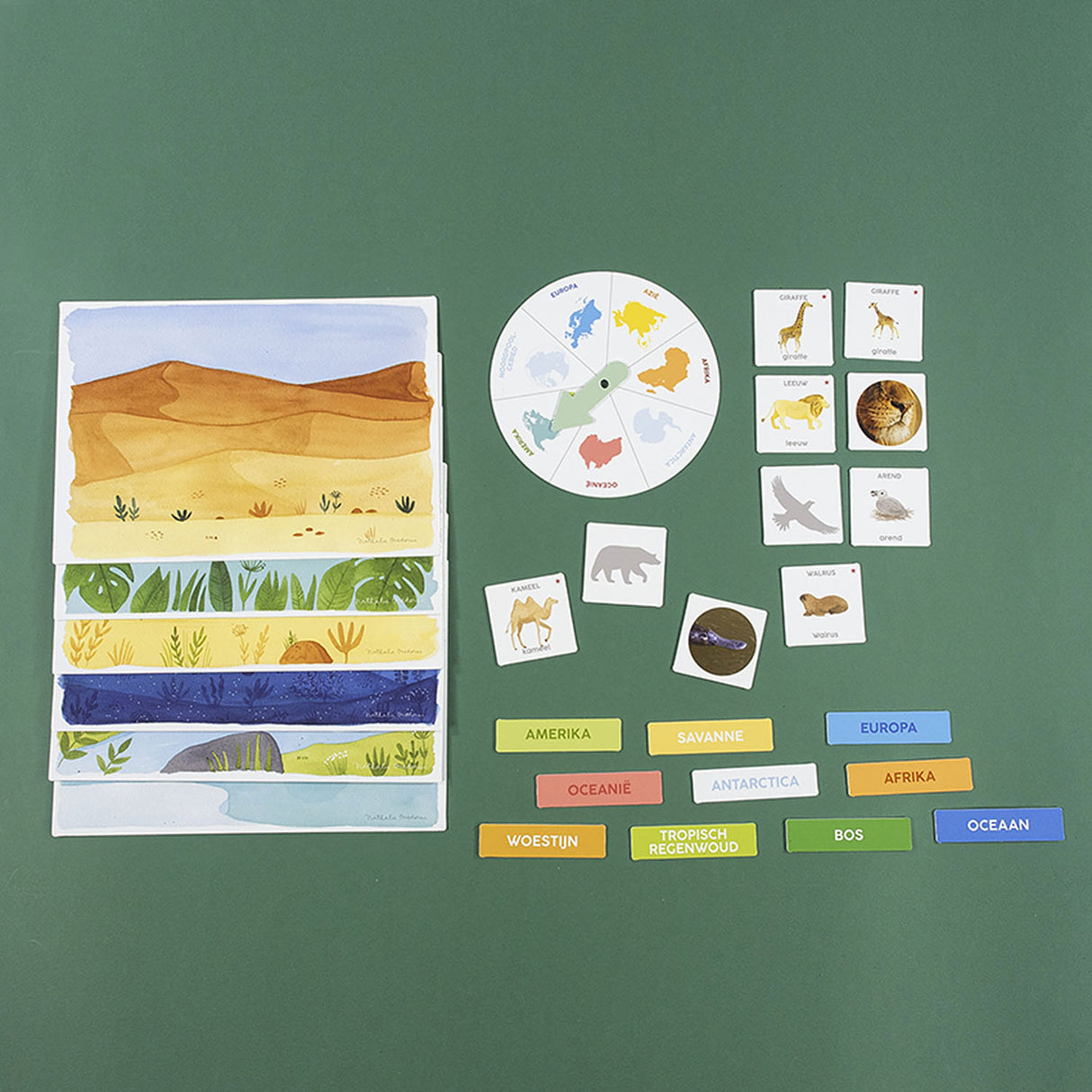 Jumbo I learn to discover animal educational game