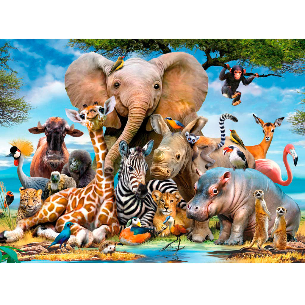 Ravensburger - afriški prijatelji 300.