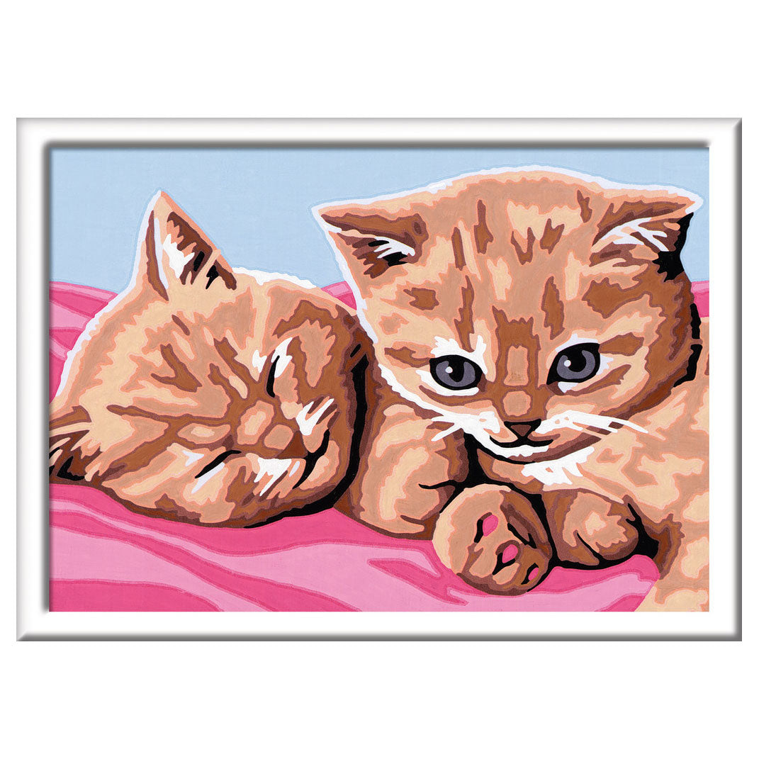Peinture de Ravensburger par nombre d'amis câlins