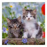 Ravensburger Jigsaw Puzzle Jonk Kitten, 3x49st.