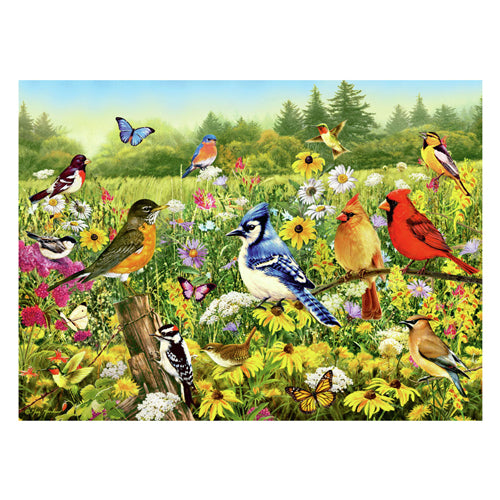 Ravensburger Jigsaw Puzzle Birds na louce, 1000st.