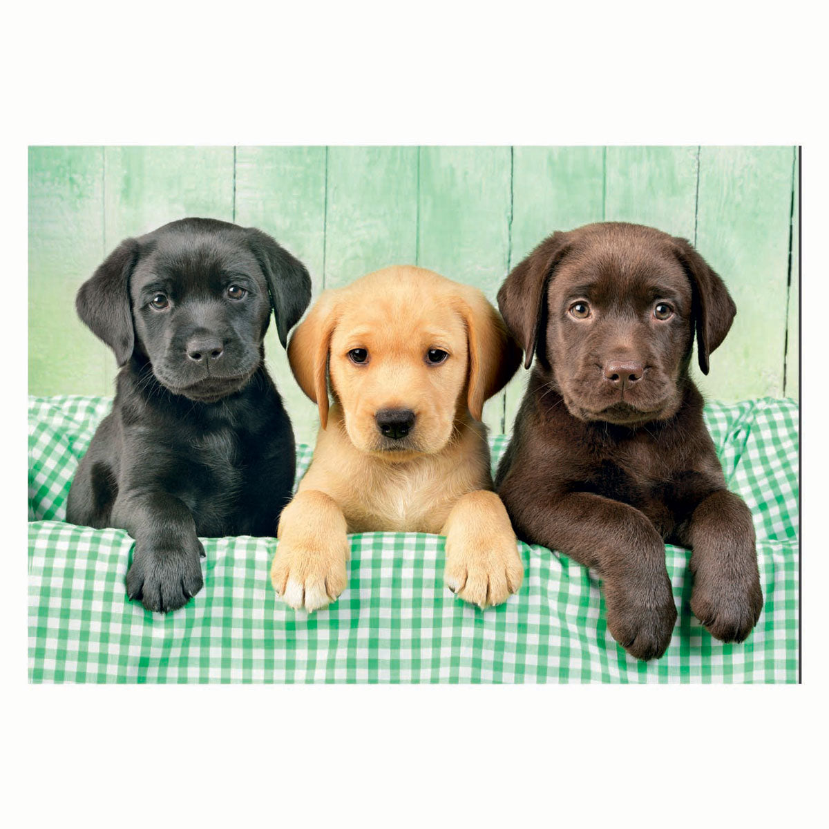 Clementoni Puzzle Jigsaw Three Labs, 1000st.