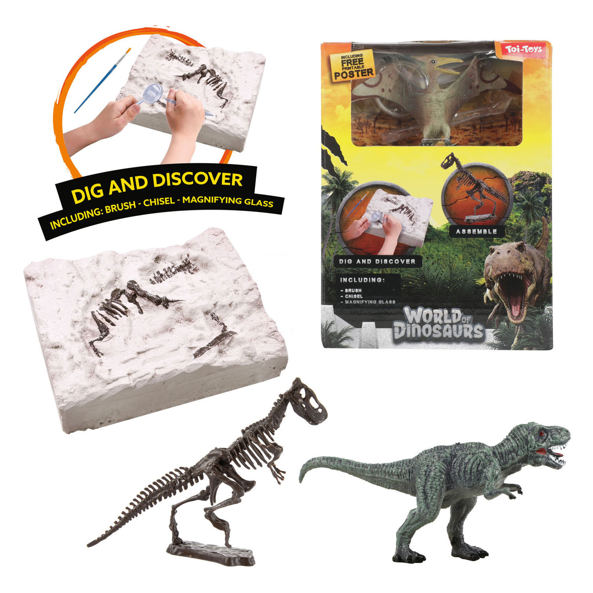 World of Dinosaurs Emerging Set «Dino Fossile»