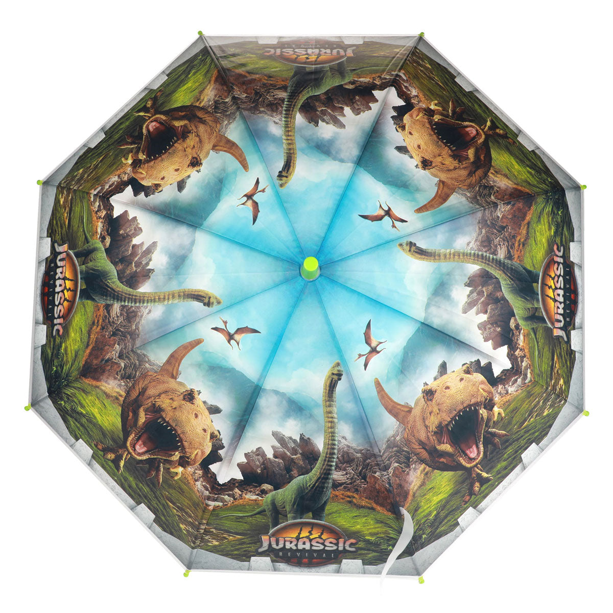 Welt vun Dinosaurier Rumbre Dino, 80cm