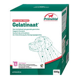 Chien gélatinant primitif
