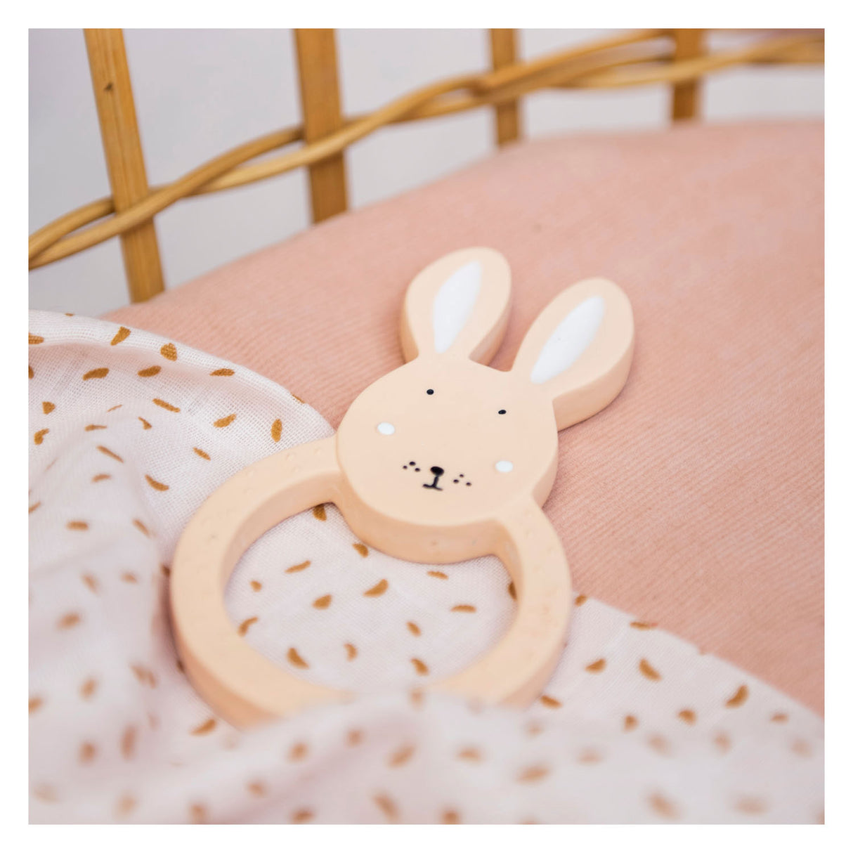 Trixie Bijtring around Mrs. Rabbit
