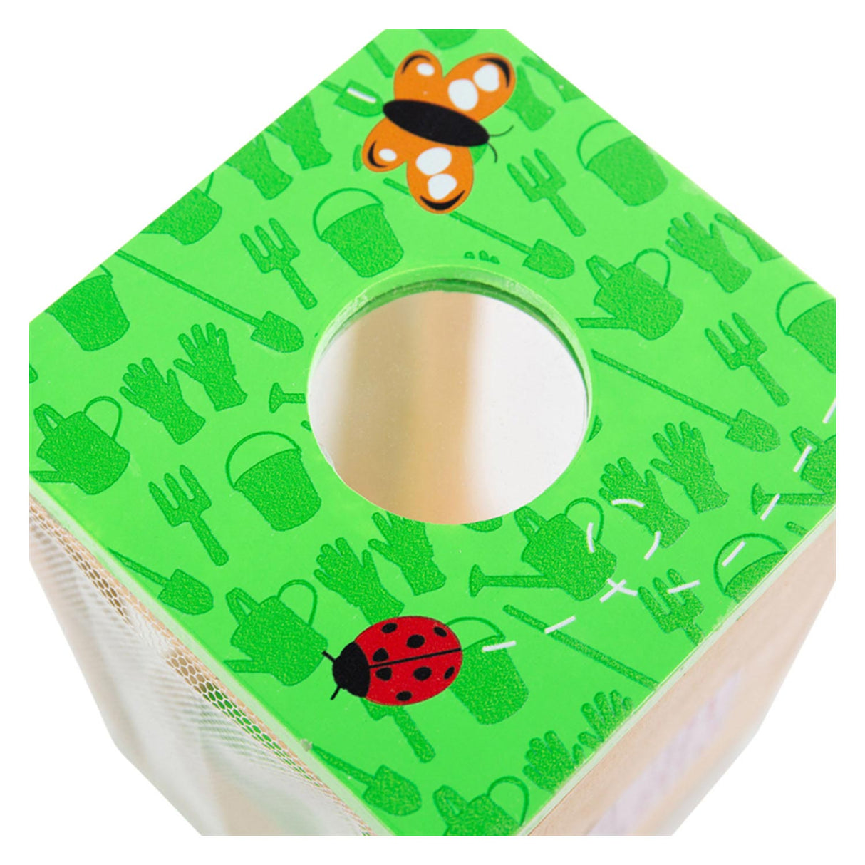 Bigjigs Caja de visualización de insectos de madera
