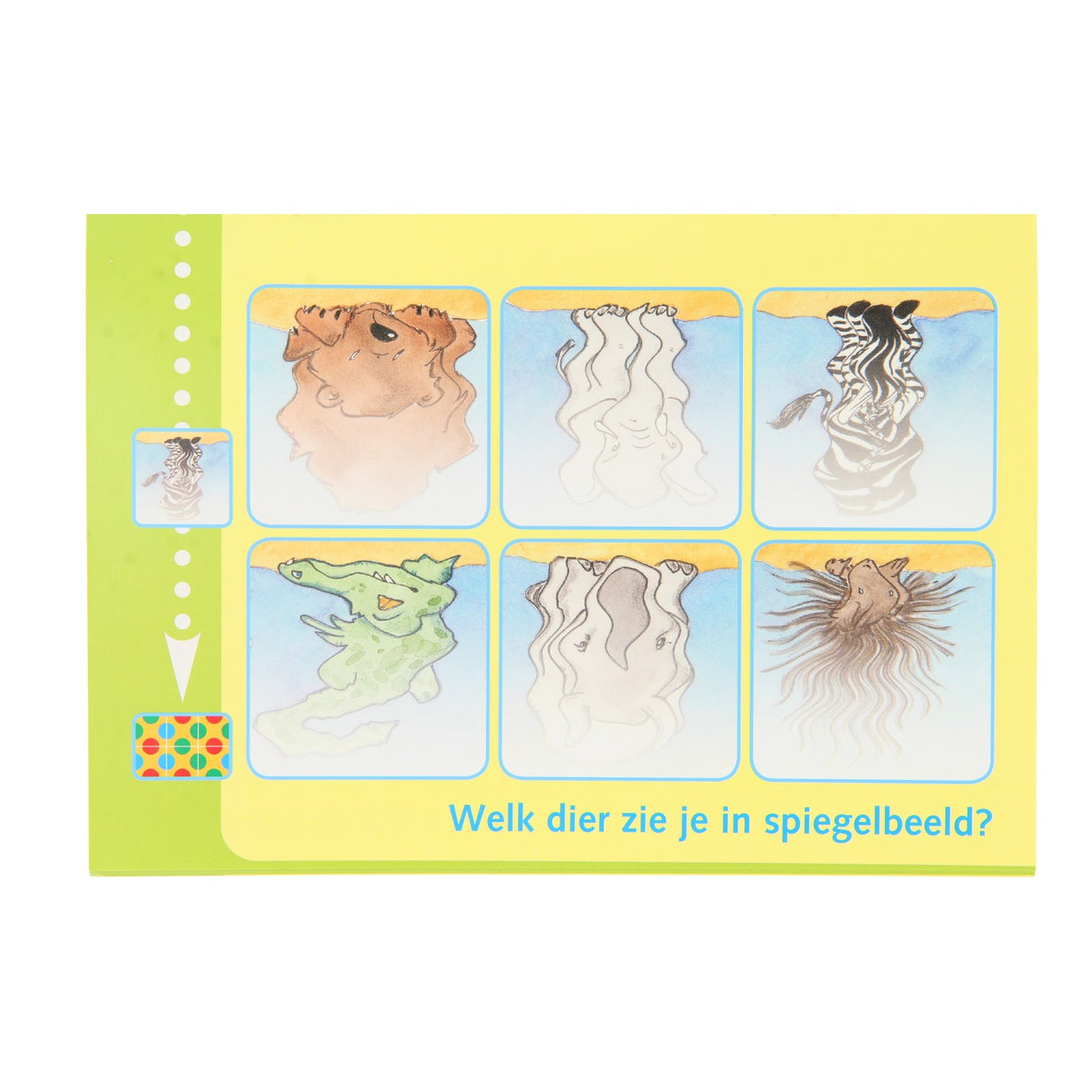 Bambini animals from all over the world (3-5 years)