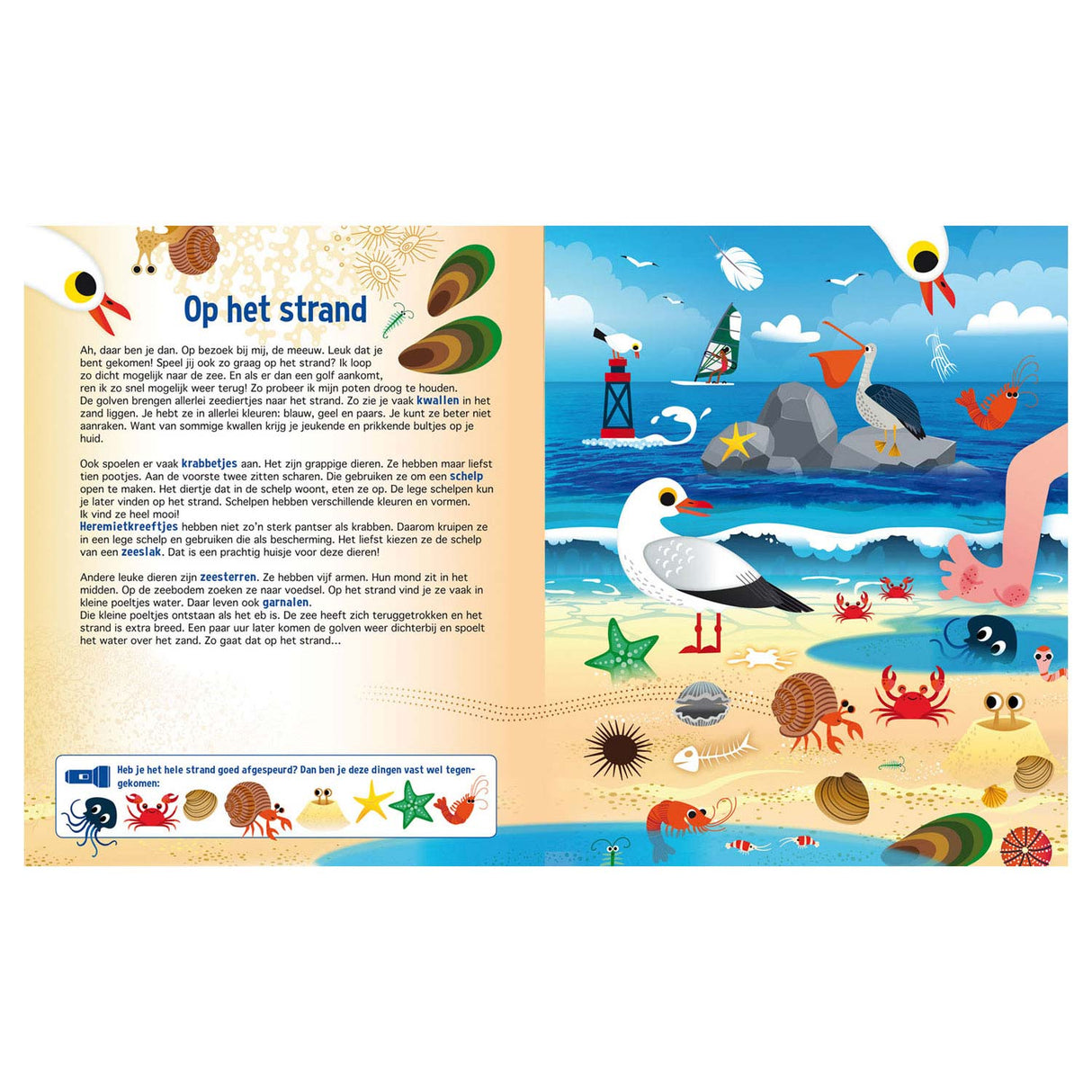 Search in the animal world + cardboard flashlight