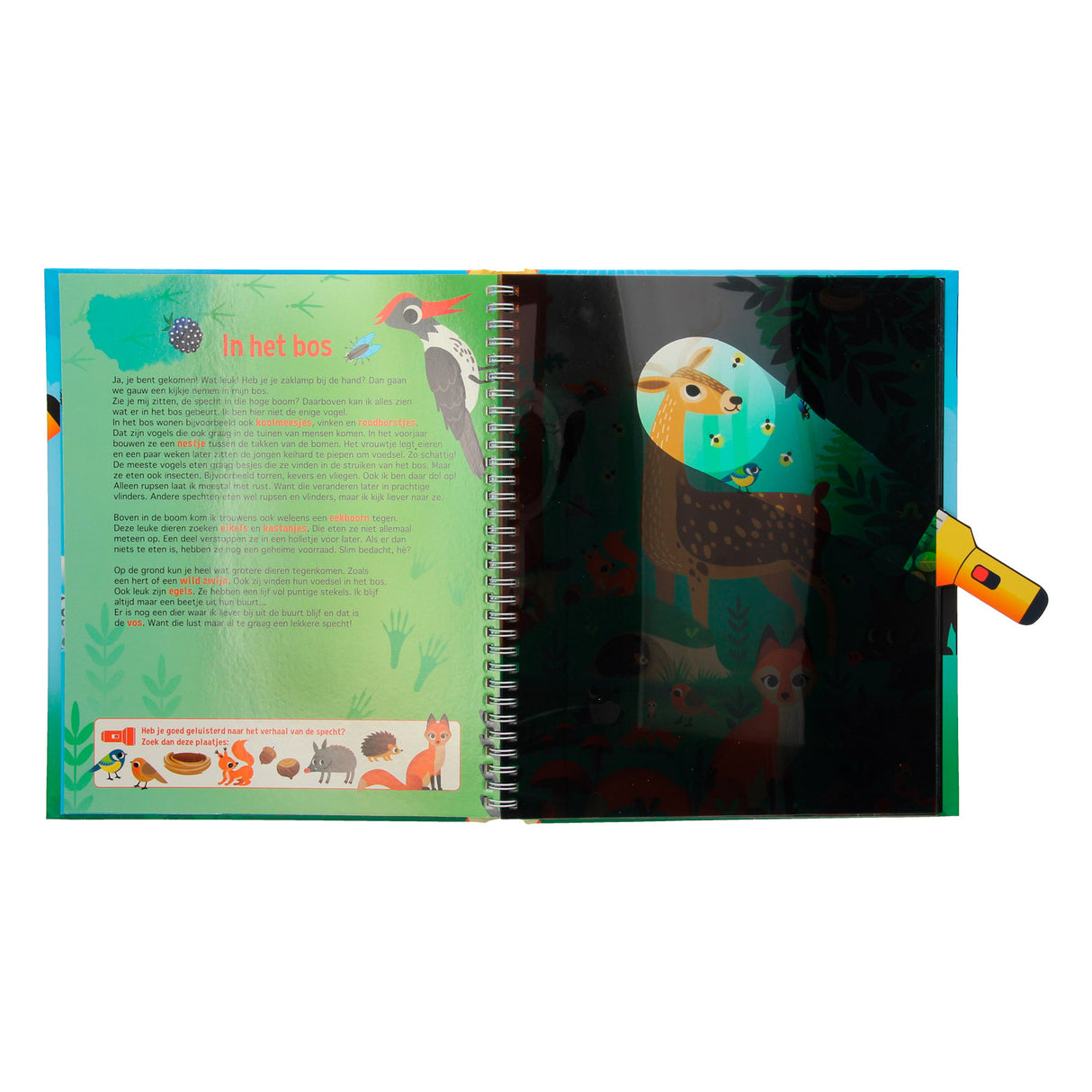 Search in the animal world + cardboard flashlight