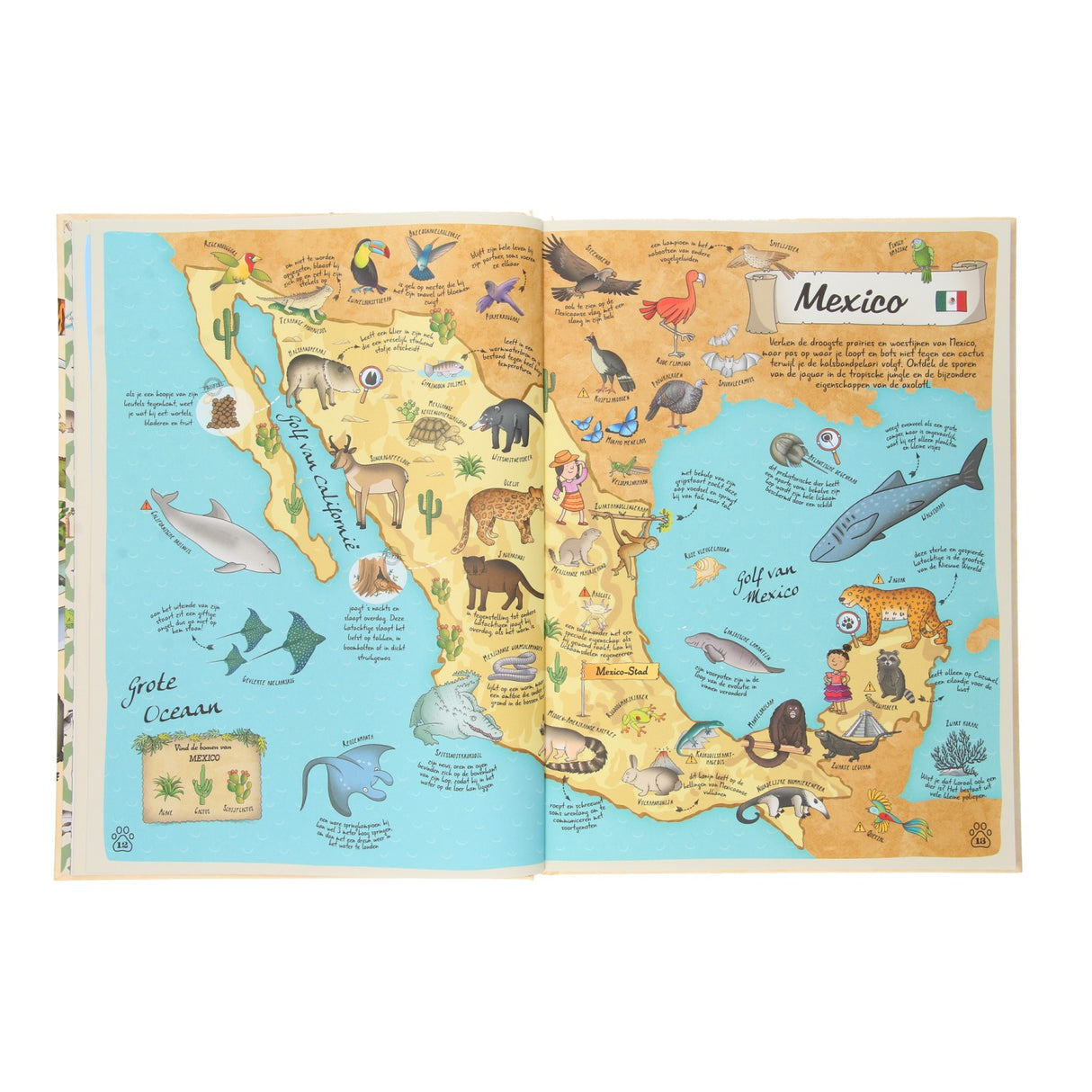 Rebo editori Dieren Atlas