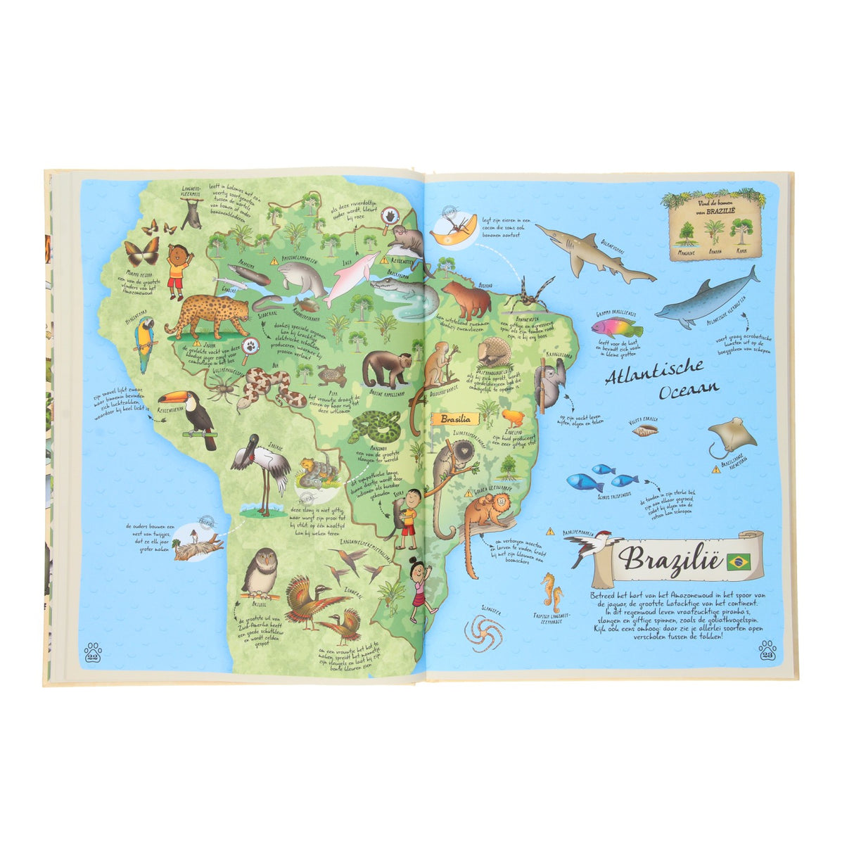 Rebo editori Dieren Atlas