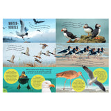 Rebo Editors Vogels - Diario di guida e natura per bambini