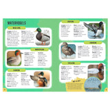 Rebo Editors Vogels - Diario di guida e natura per bambini