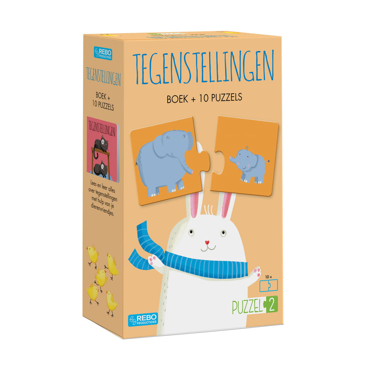 Rebo editori puzzle2 - Contradimenti del libro con 10 puzzle
